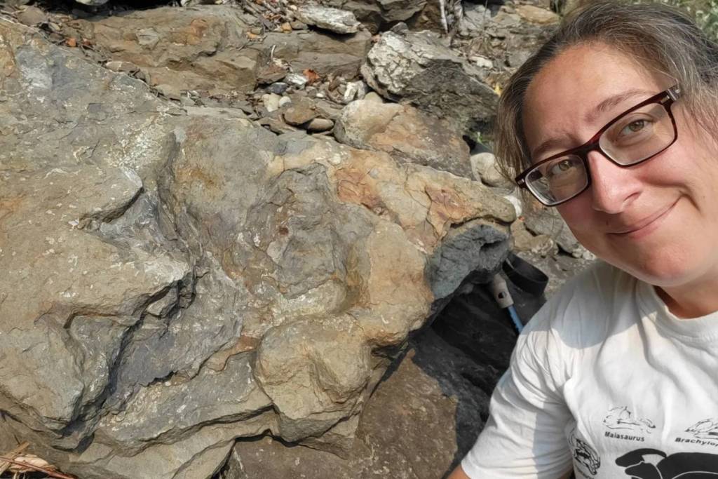 La paleontóloga Victoria Arbour, del Royal BC Museum, examina el ejemplar tipo de Ruopodosaurus en el yacimiento de Wolverine River (Alberta), agosto de 2023