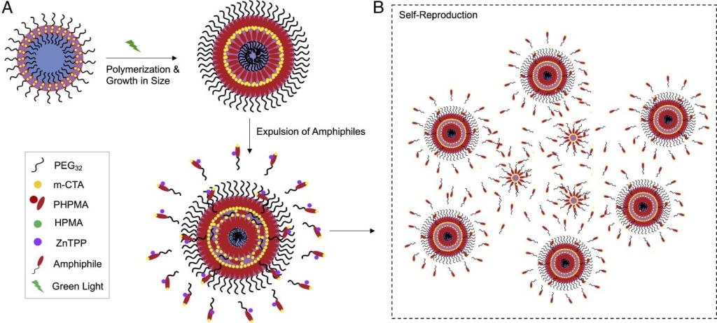 ¿Puede existir vida sin biología? Un científico español y Harvard logran un sistema de vida sintética que se replica solo