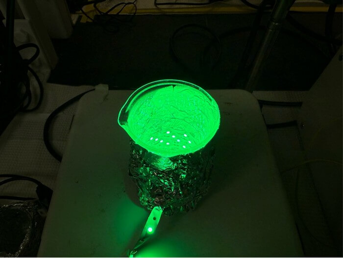 ¿Puede existir vida sin biología? Un científico español y Harvard logran un sistema de vida sintética que se replica solo