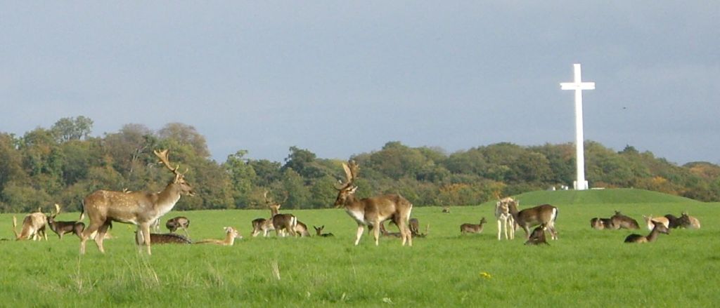 Phoenix PArk