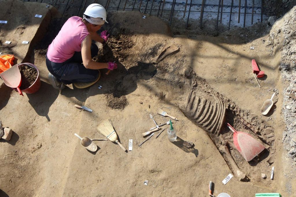 Tumba véneta de caballo