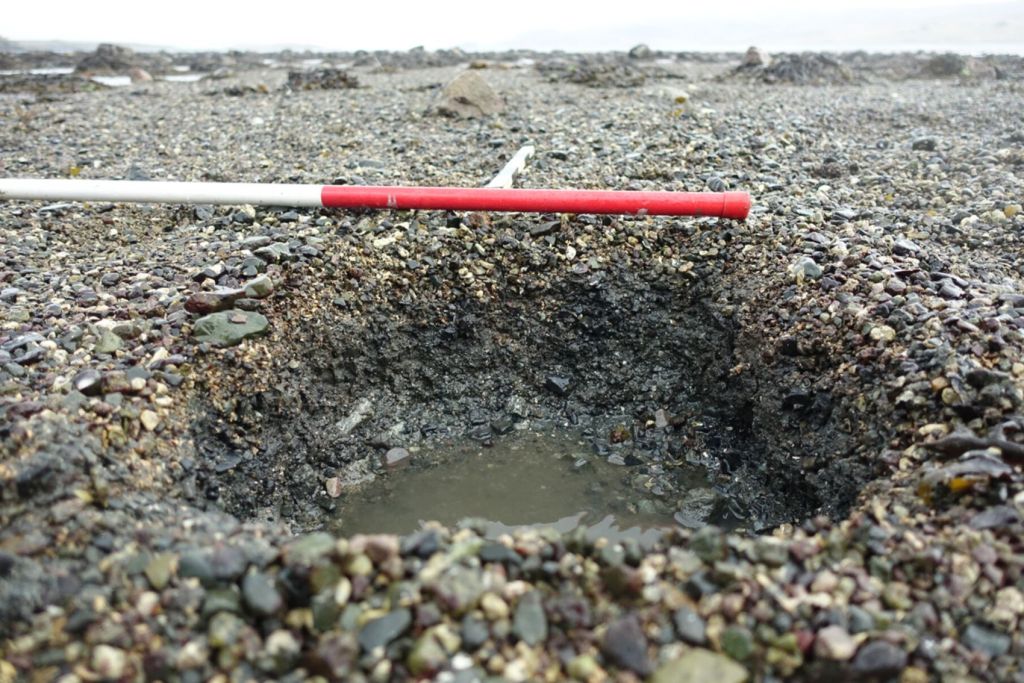 Calicata en South Cuidrach