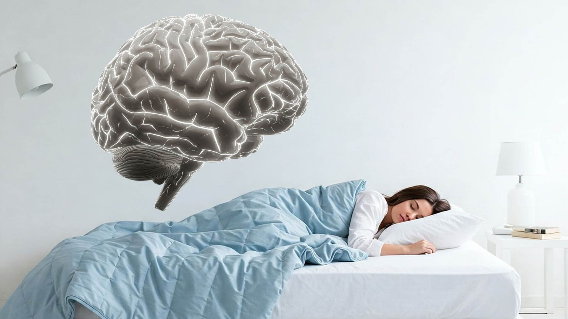 Científicos descubren que el cerebro se entrena para aprender mientras dormimos, no solo para recordar. Sueño