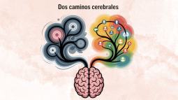 Cómo el dolor crónico cambia el cerebro, plasticidad cerebral y estrategias para manejarlo 