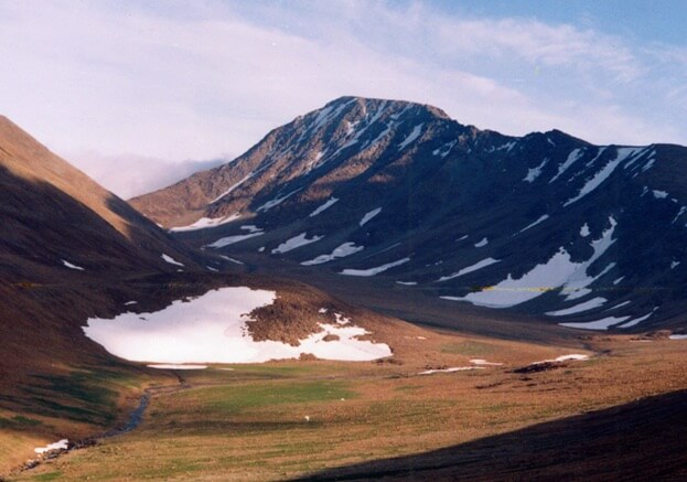 La mayor extinción de la Tierra
