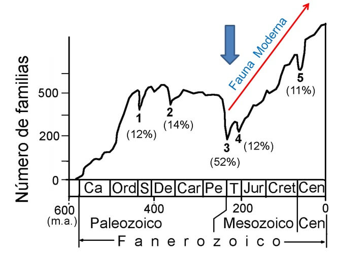La mayor extinción de la Tierra