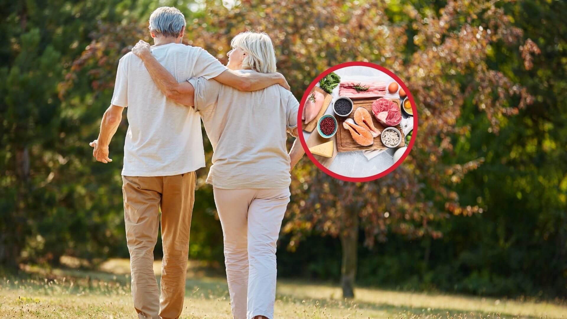 La proteína en la vejez, cómo influye su origen en el paso de la multimorbilidad a la fragilidad y la mortalidad