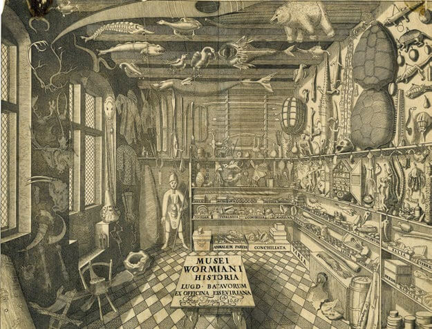 Museum Wormianum, gabinete de Olaus Wormius