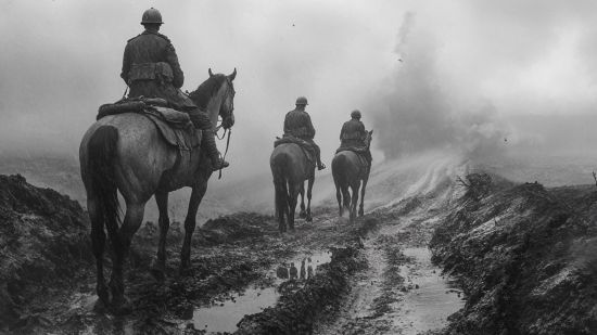 Caballos, víctimas silenciosas de los conflictos bélicos