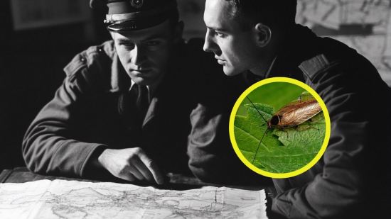 Espionaje en la Guerra Fría