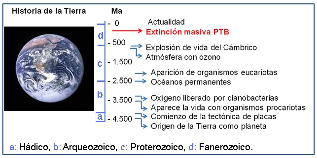 La mayor extinción de la Tierra
