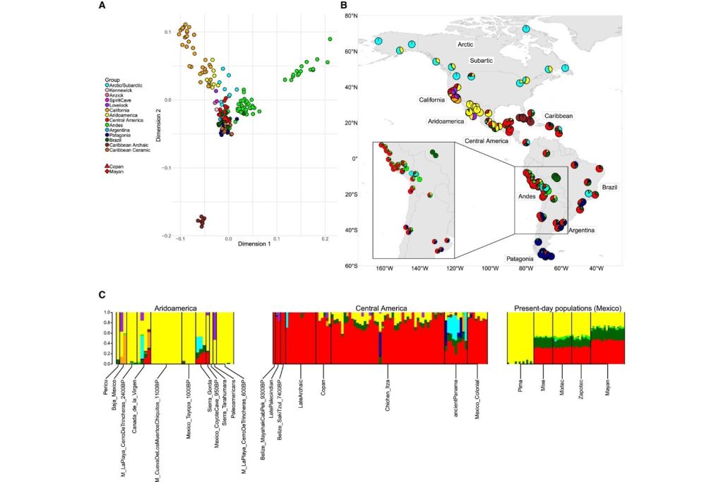 Perfiles genéticos de la población de Copán clásico comparados con comunidades antiguas y actuales del continente americano