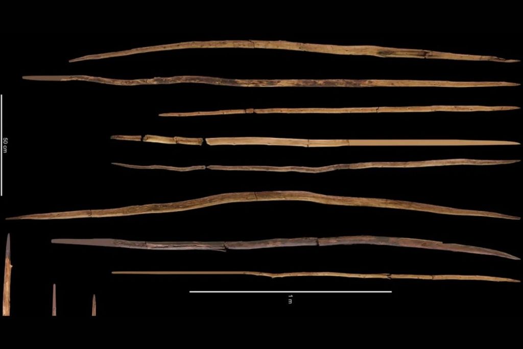 Las lanzas de Schöningen fueron empleadas por los primeros neandertales en cacerías organizadas en grupo