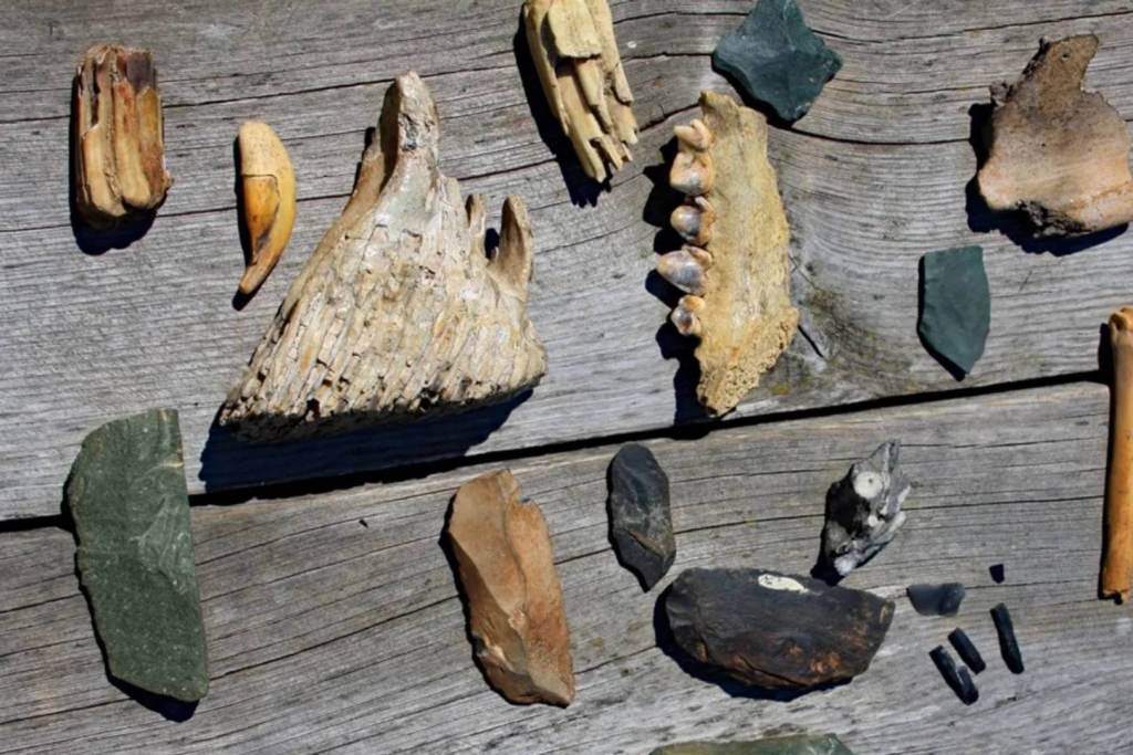 Un conjunto de restos humanos prehistóricos y herramientas de piedra hallados en la cueva Denisova