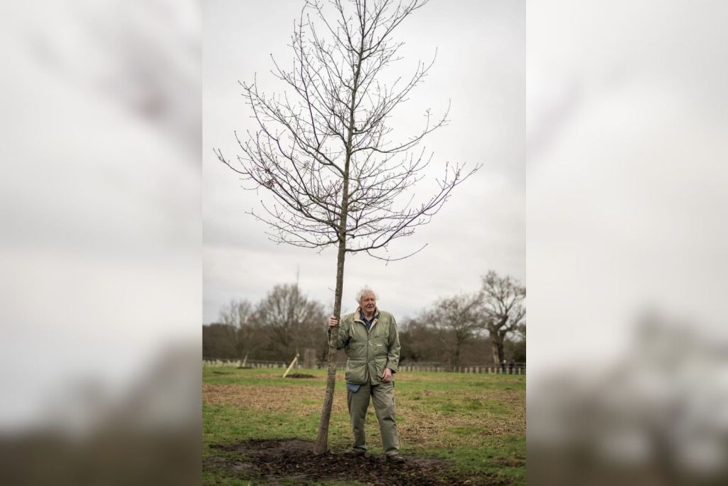 Sir David Attenborough ha sido el rostro y la voz de numerosos programas sobre la naturaleza