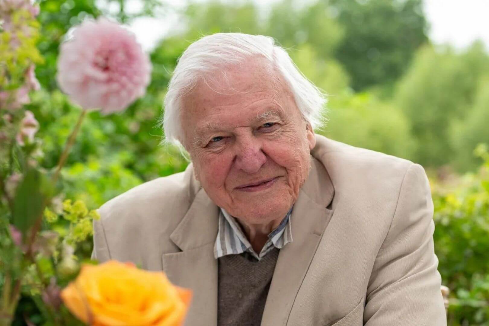 Sir David Attenborough
