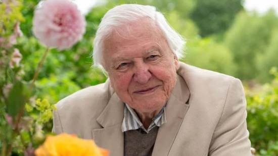 Sir David Attenborough