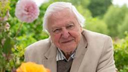 Sir David Attenborough