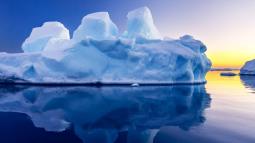 El hallazgo sorprendió a los científicos