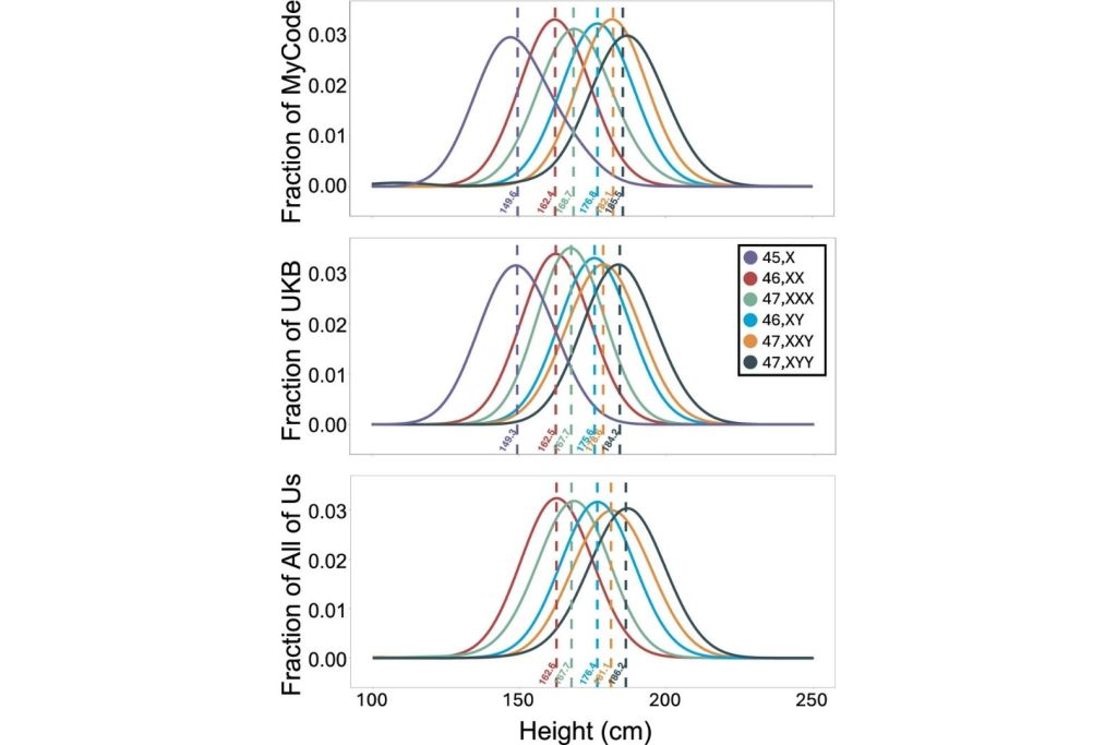 Distribución de la altura según el complemento cromosómico sexual en distintas cohortes, con medias marcadas por líneas punteadas