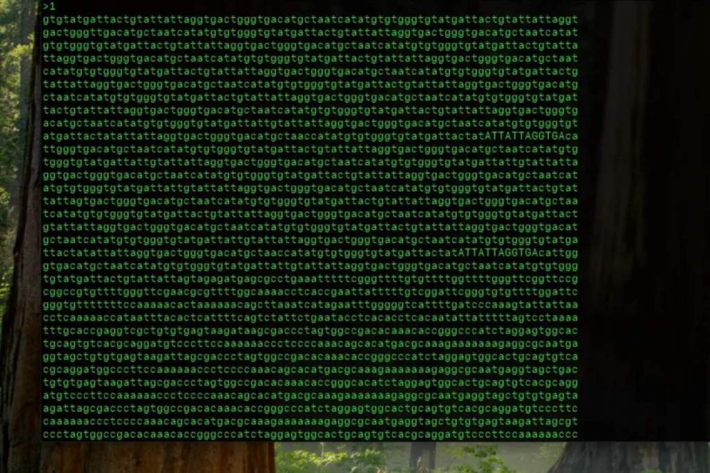 Estas ranas poseen un genoma sorprendentemente grande, con un tamaño tres veces superior al del ser humano