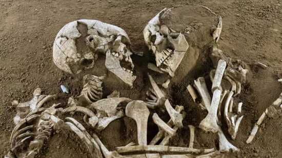 La posición de los cuerpos y el contexto del hallazgo han convertido esta tumba en una de las más famosas de Europa