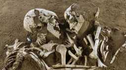 La posición de los cuerpos y el contexto del hallazgo han convertido esta tumba en una de las más famosas de Europa