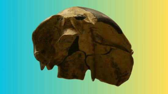 El cráneo de Maba 1 presenta una fractura pronunciada en la parte frontal, una lesión que algunos investigadores atribuyen a un posible enfrentamiento físico entre individuos de su grupo