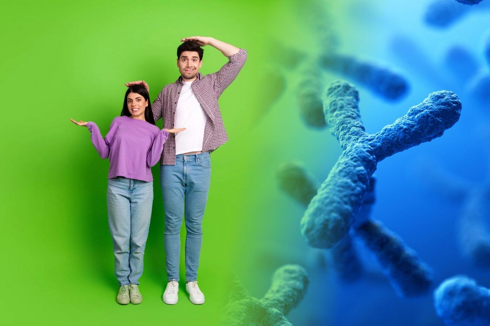 Este hallazgo genético ayuda a entender por qué los hombres son, en promedio, más altos que las mujeres