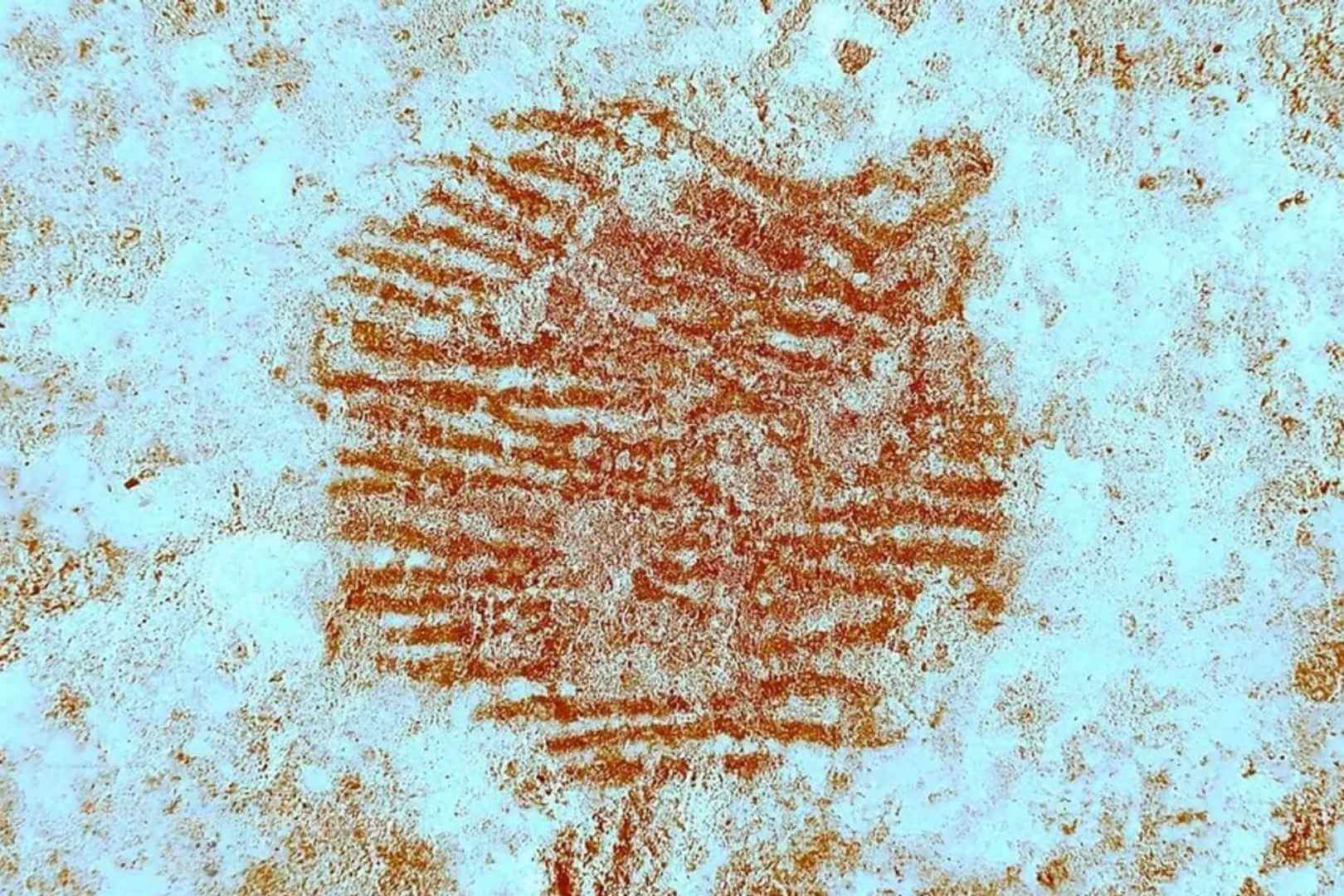 Todo apunta a que la huella fue dejada por un varón adulto