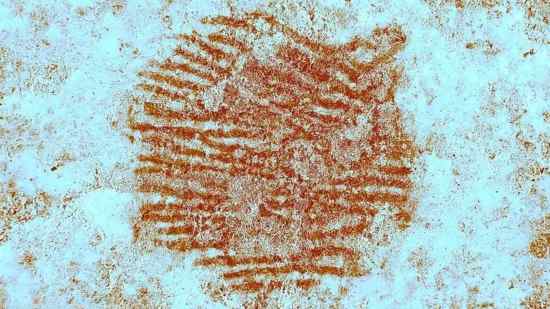 Todo apunta a que la huella fue dejada por un varón adulto