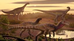Reconstrucción en vida de Maleriraptor kuttyi junto al sauropodomorfo unaysáurido Jaklapallisaurus asymmetricus, ambos originarios de la Formación Maleri Superior (Noriano inferior) en el centro-sur de la India