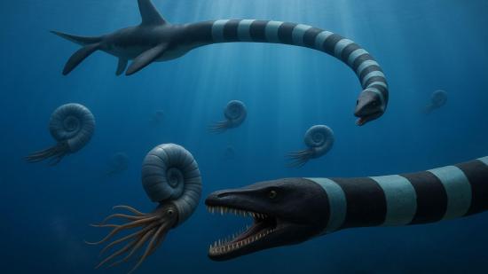 Identifican como nueva especie a uno de los reptiles marinos más icónicos de Norteamérica