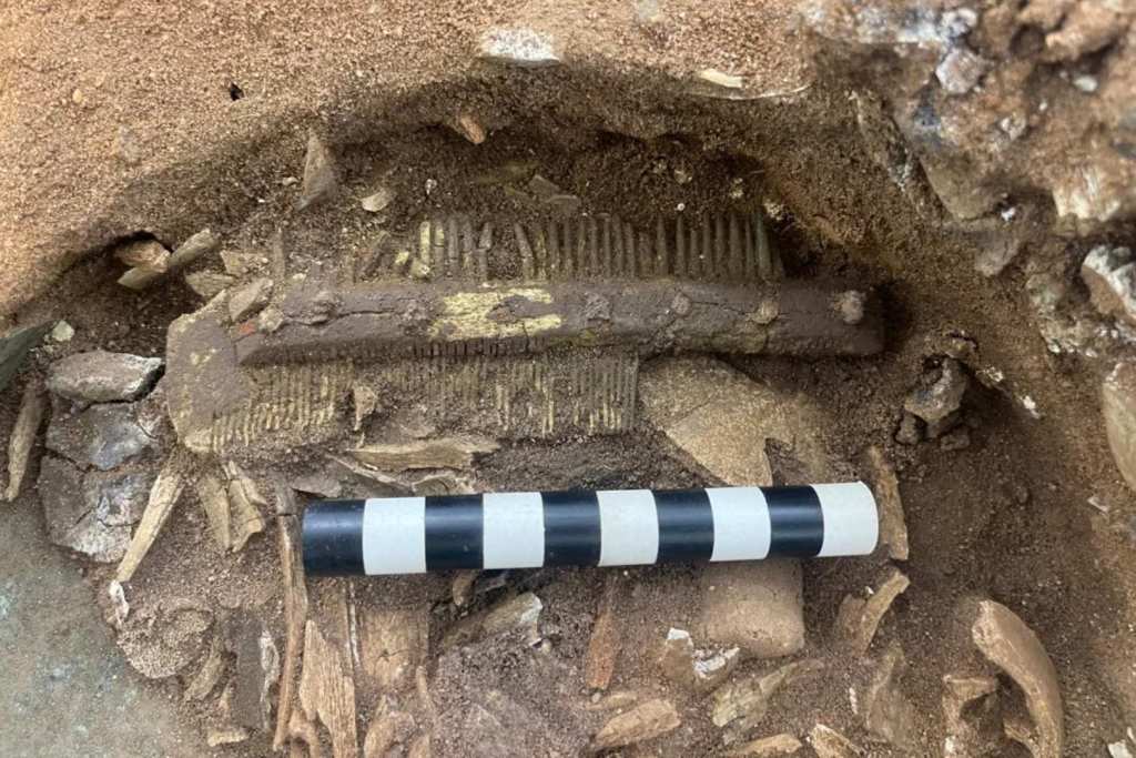 El peine de asta, con doble cara, se ha conservado en un estado sorprendente pese a la acidez del suelo donde fue enterrado