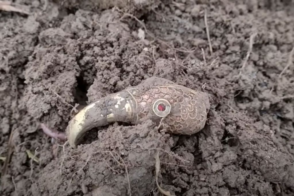 Así apareció la cabeza de cuervo dorada cuando fue descubierta por los detectoristas en un campo del suroeste de Inglaterra, parcialmente enterrada y cubierta de tierra tras siglos bajo el suelo
