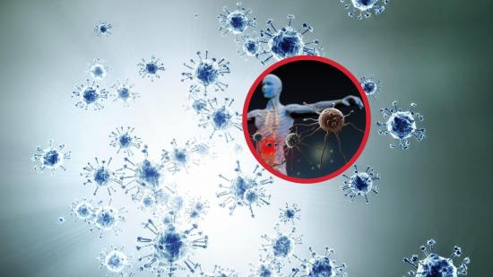 las principales enfermedades autoinmunes explicadas una a una