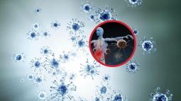 las principales enfermedades autoinmunes explicadas una a una