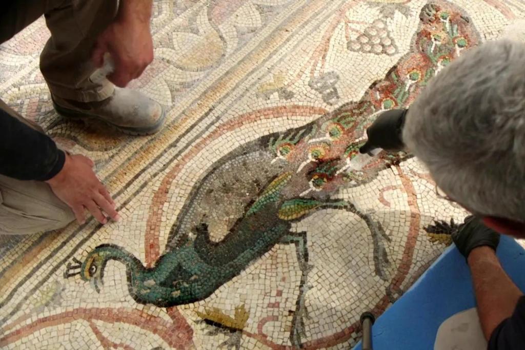 Un imponente mosaico de la época bizantina, descubierto en 1990 junto a las ruinas de Khirbat Be’er Shema, en el sur de Israel, ha sido expuesto por primera vez al público tras décadas oculto bajo tierra