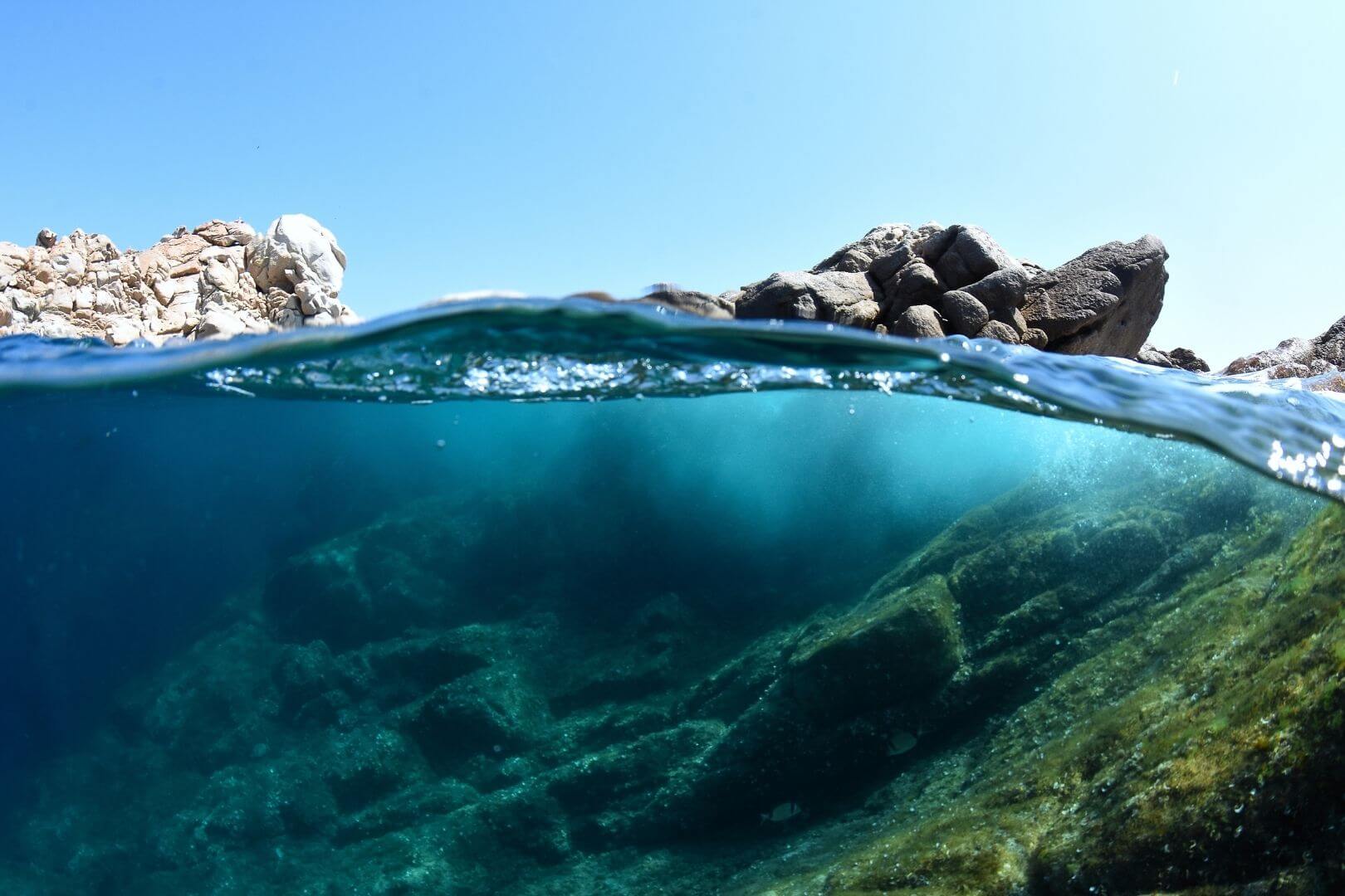 Qué pasaría si el océano se quedara sin vida