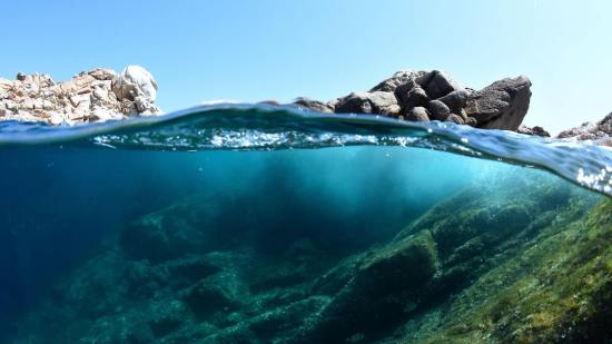 Qué pasaría si el océano se quedara sin vida