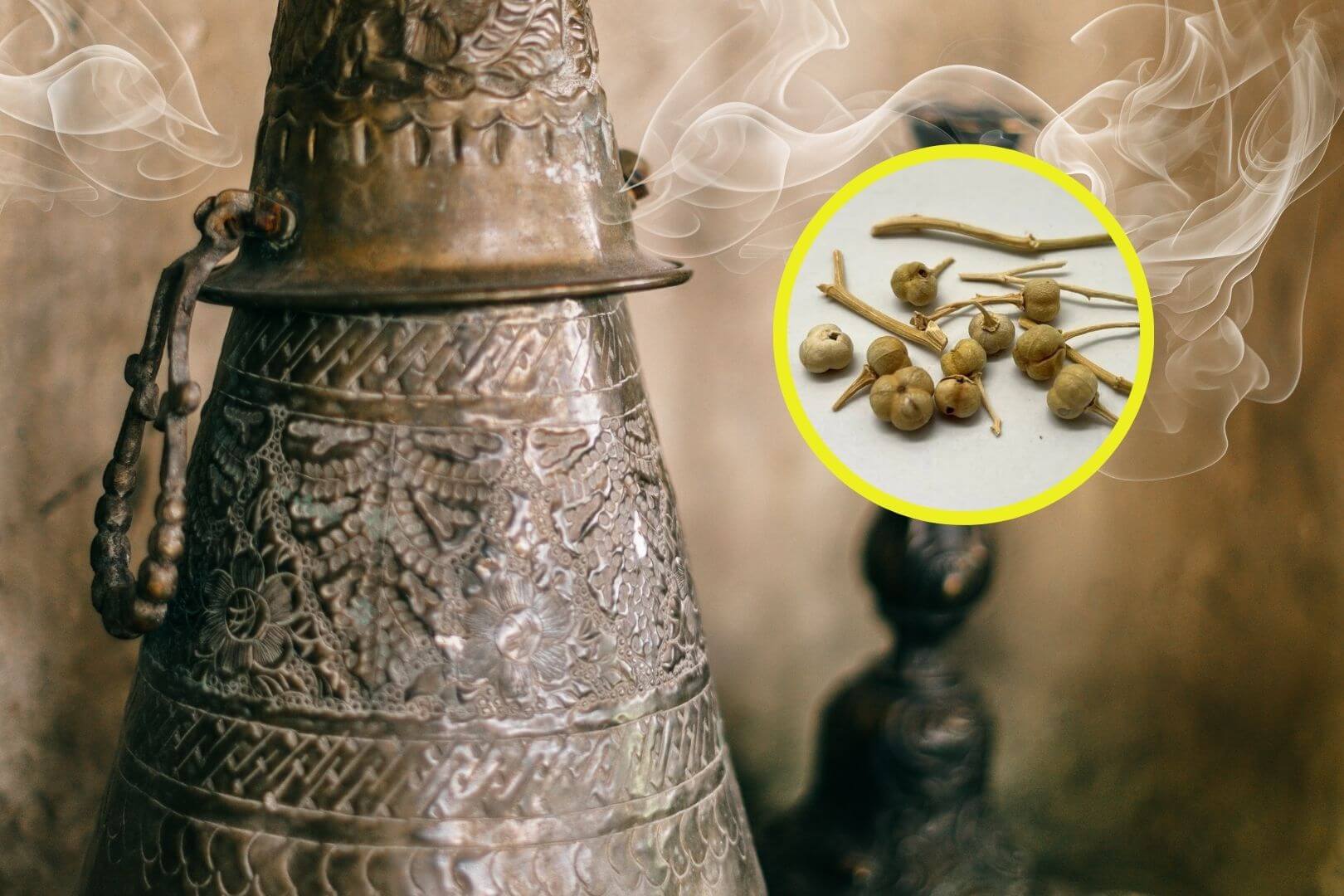 Descubren en Arabia el uso ritual de una planta medicinal hace 2.700 años