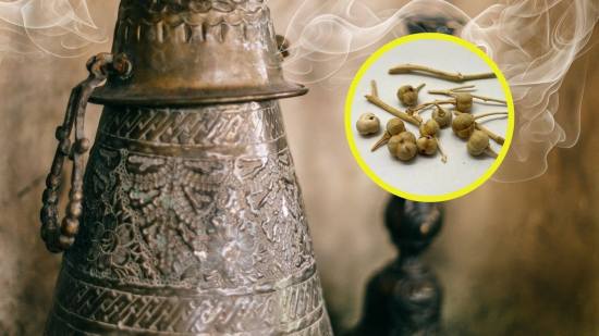 Descubren en Arabia el uso ritual de una planta medicinal hace 2.700 años