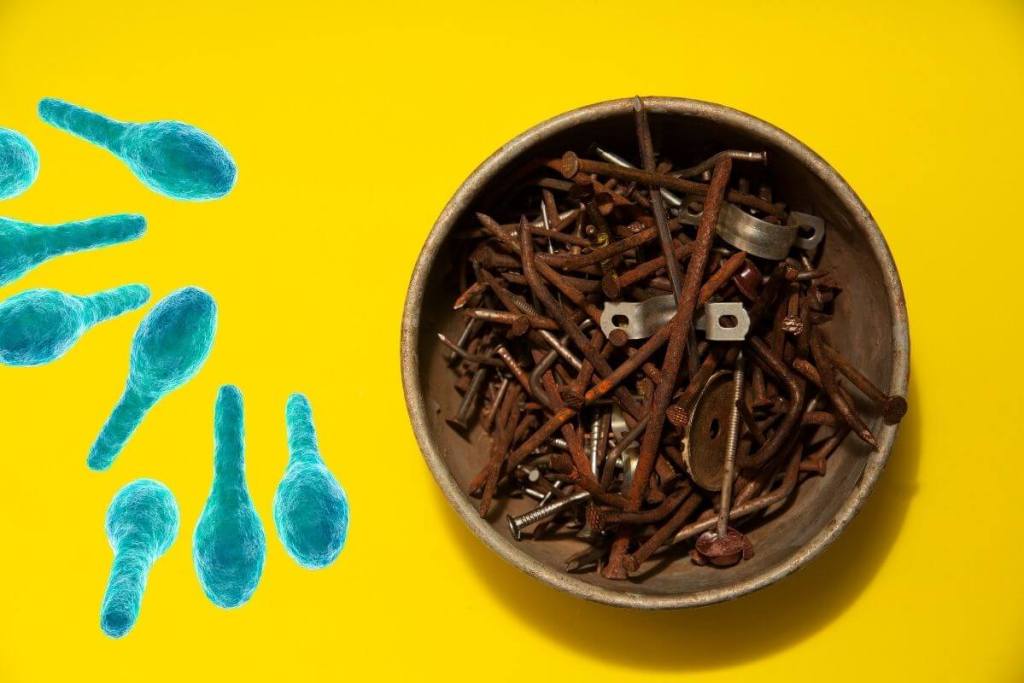 ¿Los clavos oxidados causan el tétanos? 1