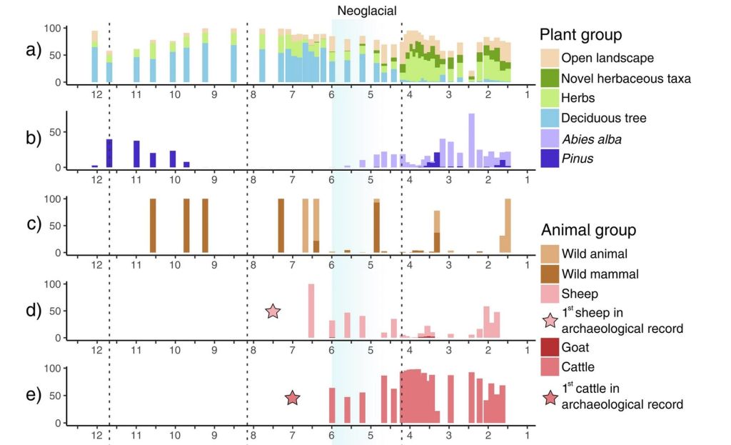 Lago Tramacastilla durante el Holoceno