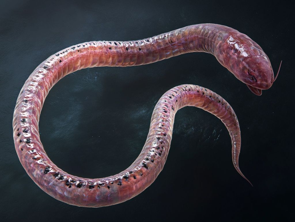 Recreación ficticia de un parásito intestinal