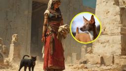 Cementerio de animales