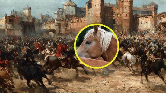 Recreación ficticia de caballería