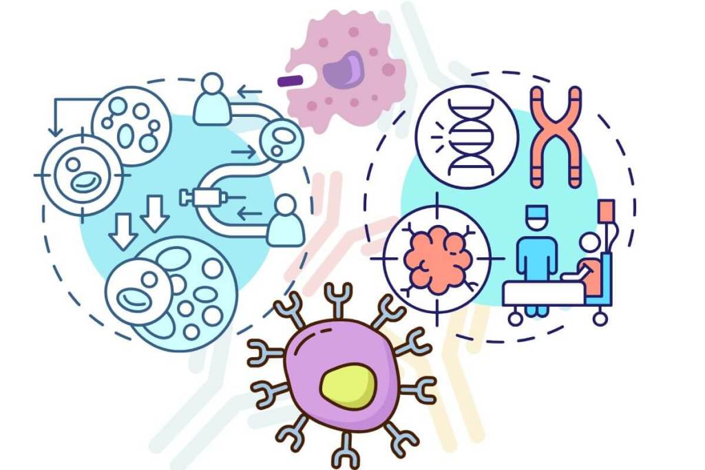 Células entrenadas para matar tumores, así funciona la inmunoterapia personalizada