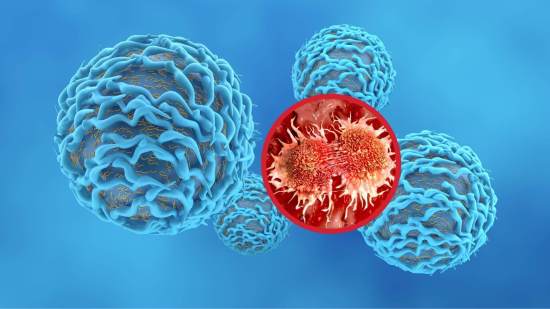 Células entrenadas para matar tumores, así funciona la inmunoterapia personalizada