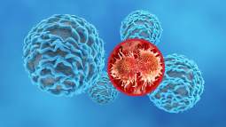 Células entrenadas para matar tumores, así funciona la inmunoterapia personalizada